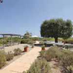PM07399_Finca_Pool_Garage_ETV_Manacor_45