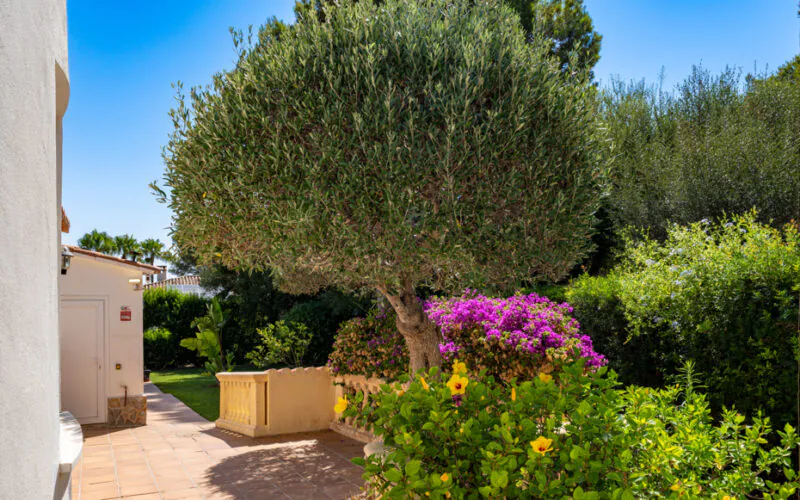 PM07389_Villa_Cala-Murada_Pool_Garten_Meerblick_09