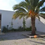 PM07396_Finca_Pool_Garten_Pollensa_60
