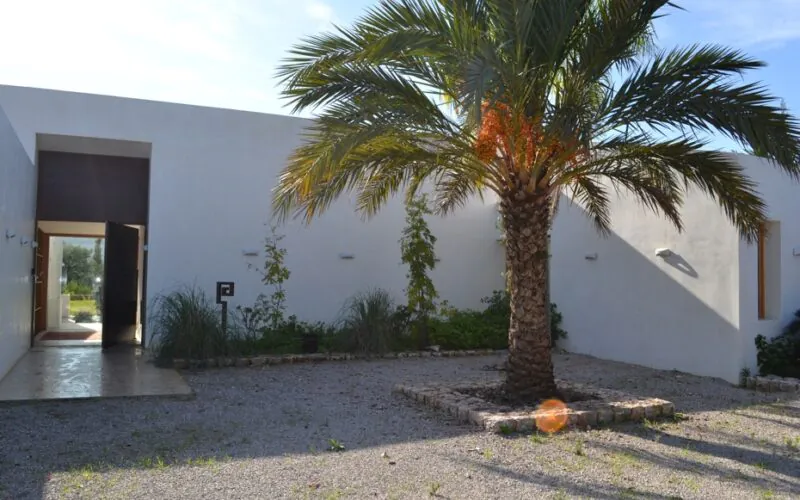 PM07396_Finca_Pool_Garten_Pollensa_60