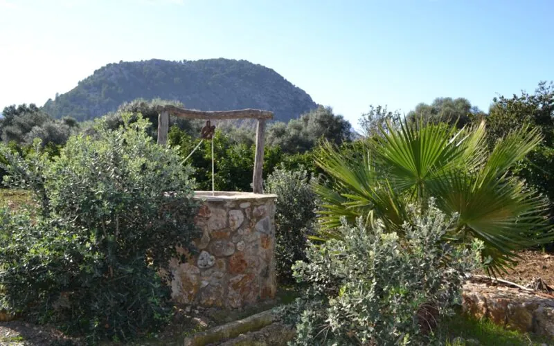 PM07396_Finca_Pool_Garten_Pollensa_03