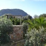 PM07396_Finca_Pool_Garten_Pollensa_03