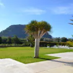 PM07396_Finca_Pool_Garten_Pollensa_55