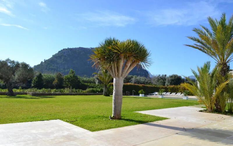 PM07396_Finca_Pool_Garten_Pollensa_55