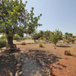 PM07399_Finca_Pool_Garage_ETV_Manacor_47