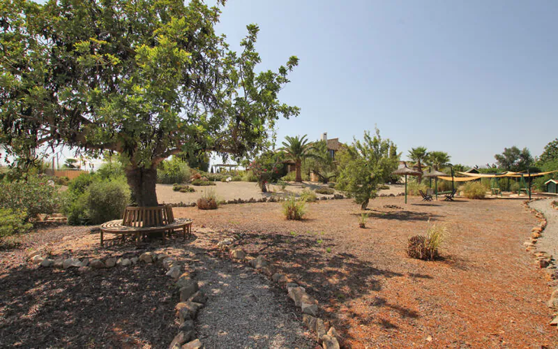 PM07399_Finca_Pool_Garage_ETV_Manacor_47