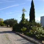 PM07396_Finca_Pool_Garten_Pollensa_62