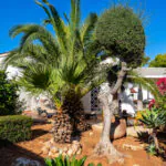 PM07405_Villa_Pool_Garage_Meerblick_Cala-Murada_24