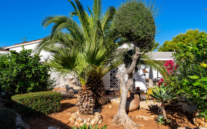 PM07405_Villa_Pool_Garage_Meerblick_Cala-Murada_24